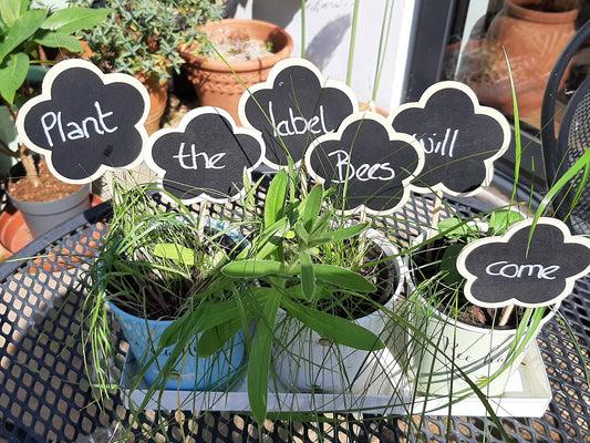 Supporting pollinators in your garden